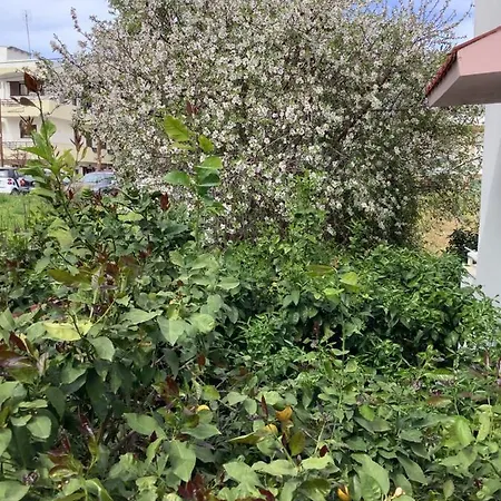 Σπίτι διακοπών Kallipatira